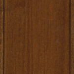 nutmeg maple